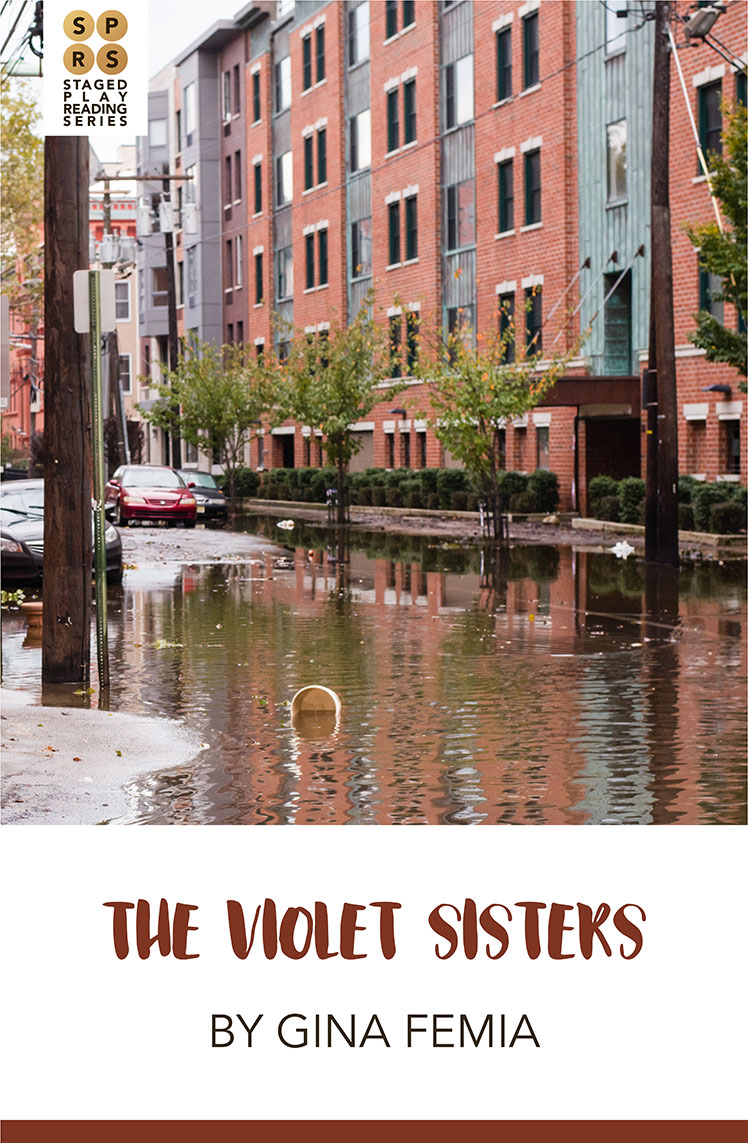 Violet Sisters poster
