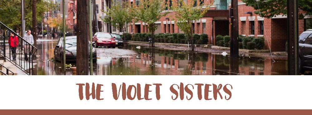 Violet Banner