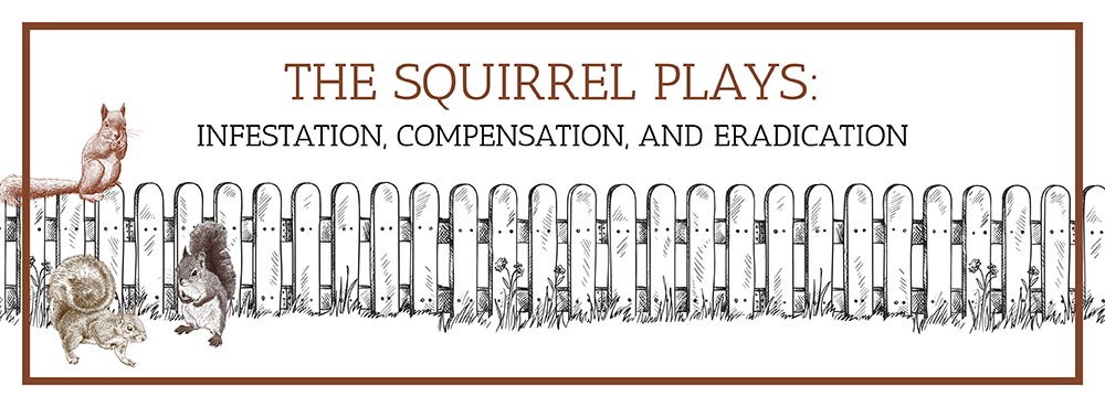 The Squirrel Plays Banner