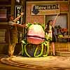 Little Shop of Horrors thumbnail 8