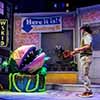 Little Shop of Horrors thumbnail 13