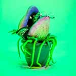 littleshopofhorrors-4